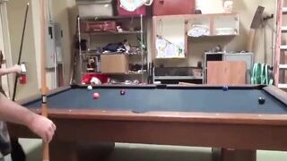 Family Regular Porn