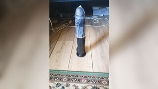 The training of fuckpig 811