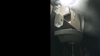 MOV 100. Continuation of the adventures of girls into the cafe restroom