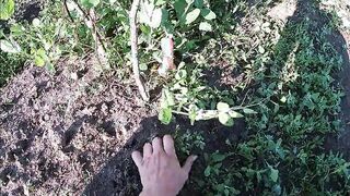 Farmer's Fiance Masturbates into the Field