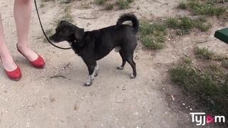 Anna De Ville having a hardcore sodomy with a rough penis