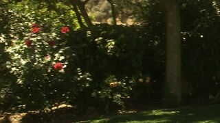 Picnic at a beach leads to sex with bomb-shell!