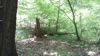 romp into the woods