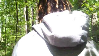 romp into the woods