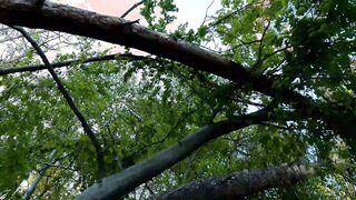 Chihuahua VLOG A walk around Gdynia Orłowo. Abandoned buildings and sex inside outdoors