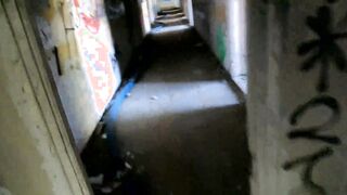 Chihuahua VLOG A walk around Gdynia Orłowo. Abandoned buildings and sex inside outdoors