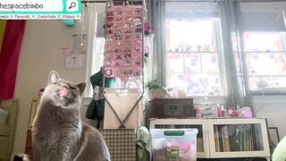 FANS ONLY Kitty Transformation LIVEshow pt1