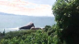 beach cuckold