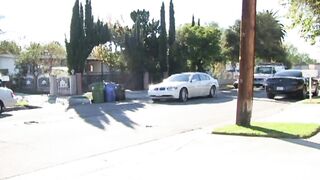 Ebonies fucked group sex session alert