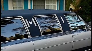 Bro gets sex from beauty blonde into limo