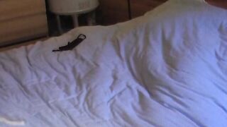 A voluptuous dark haired is having fun with her vibrators