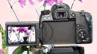 Creators blog: Camera settings with Miss Fluo