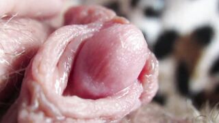 Intense close up on my big clitoris bj pulsating