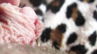 Intense close up on my big clitoris bj pulsating