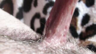 Intense close up on my big clitoris bj pulsating