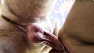 cougar AimeeParadise: my slutwife is a pornstar! ))