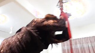 Dominating a sissy