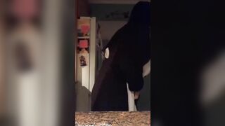 Almost Caught Masturbating into the Kitchen