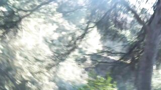 Romantic sex on the forest