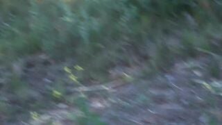 Romantic sex on the forest
