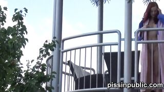 beauty girls could not think of anything better than pissing around neighbours property