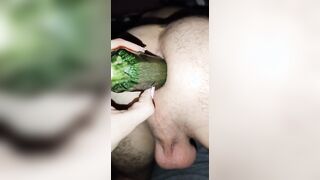 WildlifePA WildlifePA I make a vegetable dish into his booty. Cook with me he loves vegetable