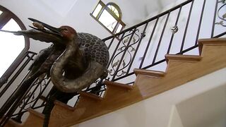 Beautiful girls share a cocky bro drilling them to contentment
