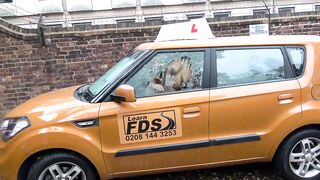 Fake Driving School Long dick Instructor bonnet fucks and licks