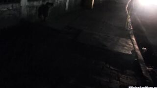 ASIANSEXDIARY Small chinese Bae Screwed Rough Into Hotel