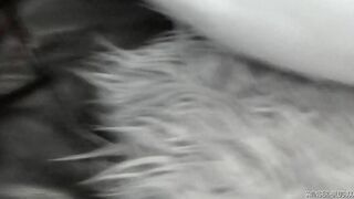 Amateur swingers into Hot panties sucking off and fucking at group group sex