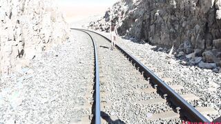 black railed in the desert