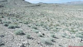 black railed in the desert