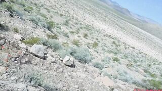 black railed in the desert