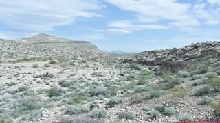 black railed in the desert