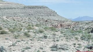 black railed in the desert