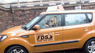 Fake Driving School Candi Kayne returns just for instructors long penis