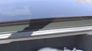 Down South Southern Bell Encounters Her First Long big black dick
