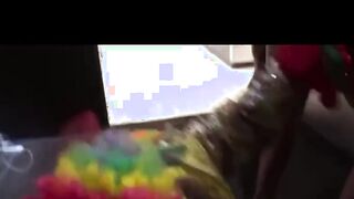 The Clownster Cool Dumps