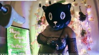 HONEY COSPLAY ROOM- THE AFRICAN CAT -- PT.one