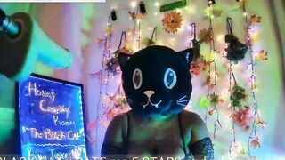 HONEY COSPLAY ROOM- THE AFRICAN CAT -- PT.one
