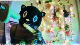 HONEY COSPLAY ROOM- THE AFRICAN CAT -- PT.one