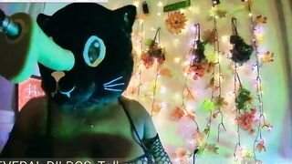 HONEY COSPLAY ROOM- THE AFRICAN CAT -- PT.one