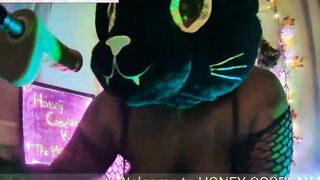 HONEY COSPLAY ROOM- THE AFRICAN CAT -- PT.one