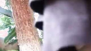 Expirienced pretty blonde opens her booty and vagina wide