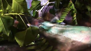He stroked his dick inside a slimy pink bath-tub swamp and then I gently felt his penis and nuts and finger fuck his asshole until he came.