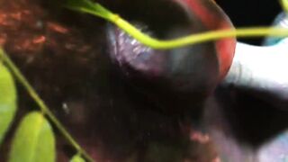 He stroked his dick inside a slimy pink bath-tub swamp and then I gently felt his penis and nuts and finger fuck his asshole until he came.