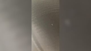Masturbation inside a outdoor toilette