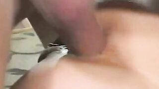 Buff stud gets his dick blown and rode by Cutie young thot