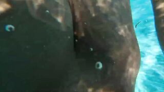 Camsoda - Amateur Teenie Masturbates Underwater With Favorite Toy