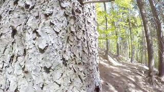 I was got caught inside the wood while i boned with stranger